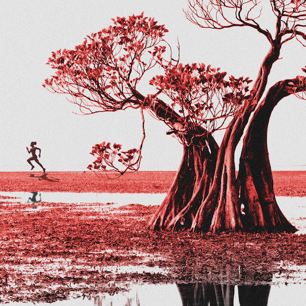 Red and Brown Water square image